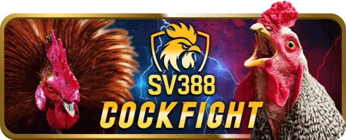 Thưởng nạp lại 12bet